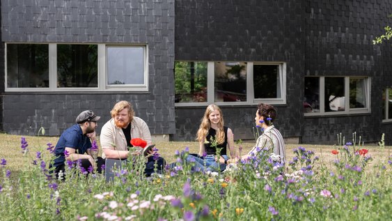 Studierende entspannen auf der Wiese vor der Aula der Ostfalia Hochschule für angewandte Wissenschaften am Campus Wolfenbüttel.