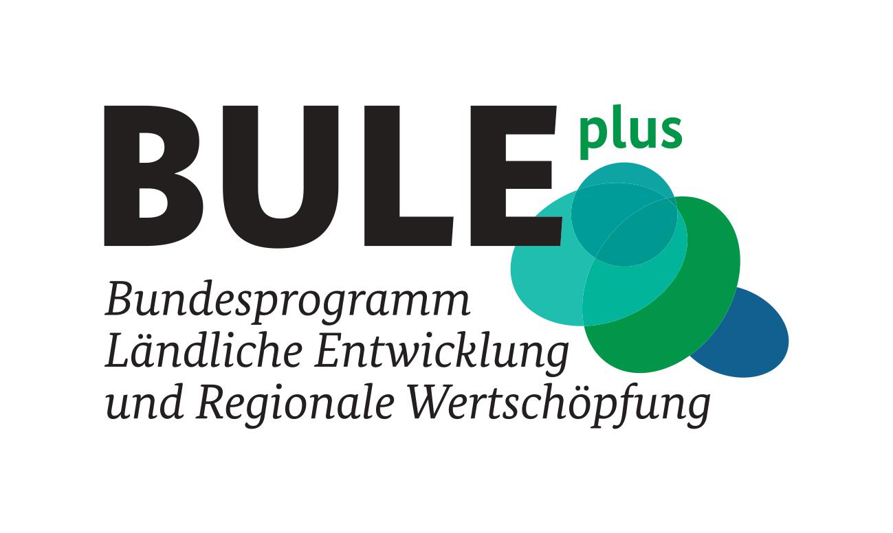 BULE-plus_Logo_CMYK_Farbe