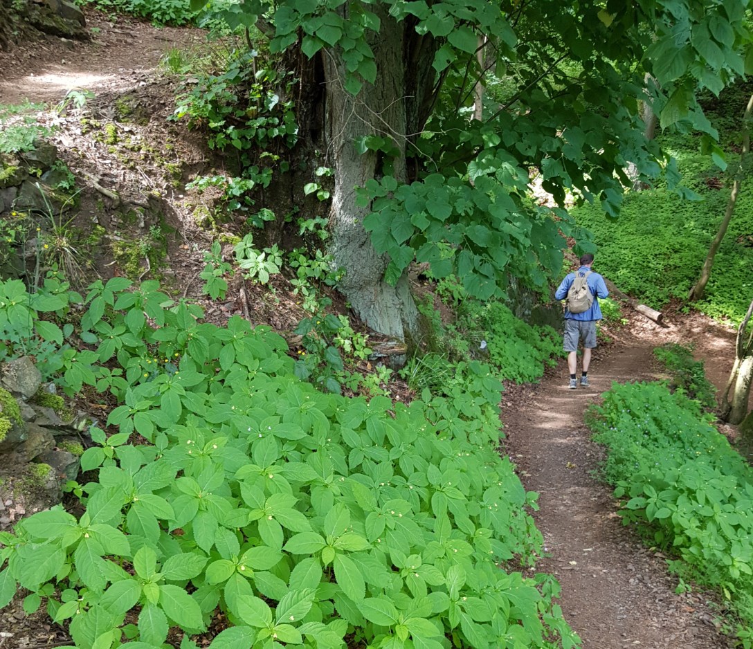 24_Wandern_Symbolfoto_Website
