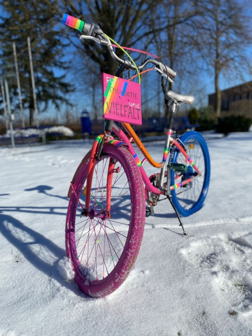 Vielfalts-Fahrrad im Schnee