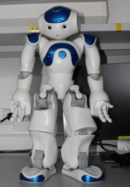 NAO-Roboter