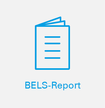 BELS-Report